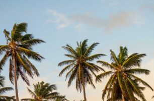 Photo 2 de l'album 9